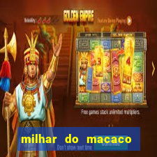 milhar do macaco que mais saem no jogo do bicho